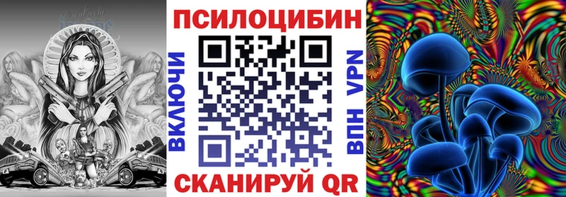 где найти Находка Галлюциногенные грибы мицелий