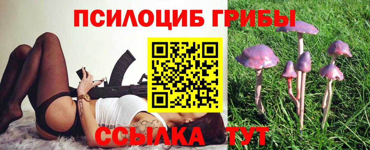 Находка  Галлюциногенные грибы прущие грибы  Вход с VPN 