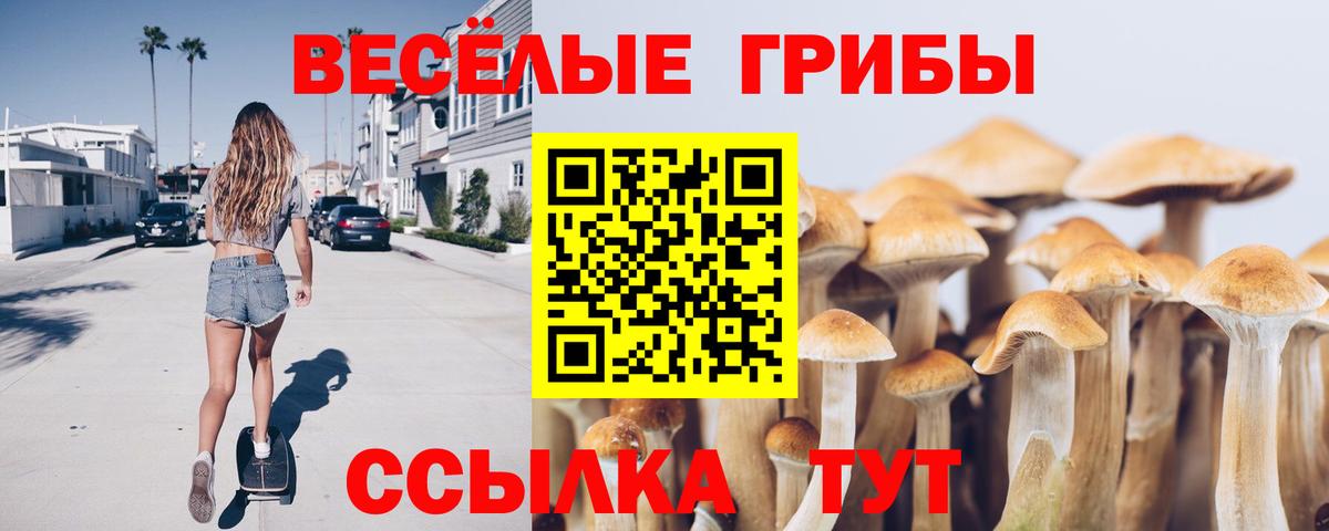 Псилоцибиновые грибы Psilocybe Находка